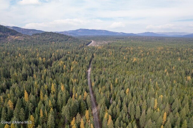 LOT4BLK1 N Peak Rd, Spirit Lake, ID 83869