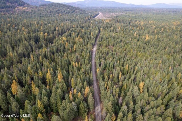 LOT4BLK1 N Peak Rd, Spirit Lake, ID 83869