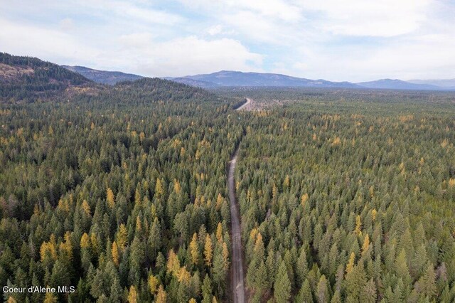 LOT4BLK1 N Peak Rd, Spirit Lake, ID 83869
