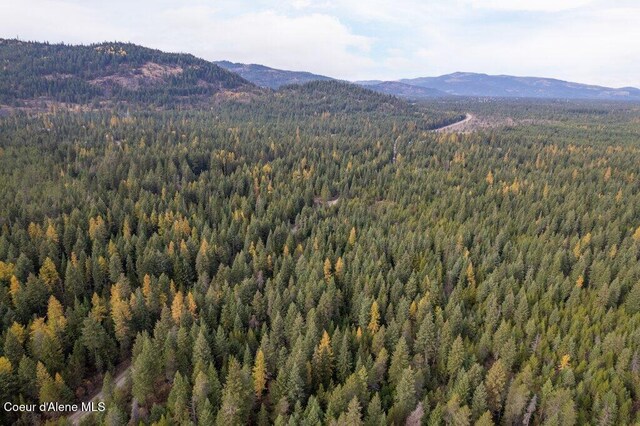 LOT4BLK1 N Peak Rd, Spirit Lake, ID 83869