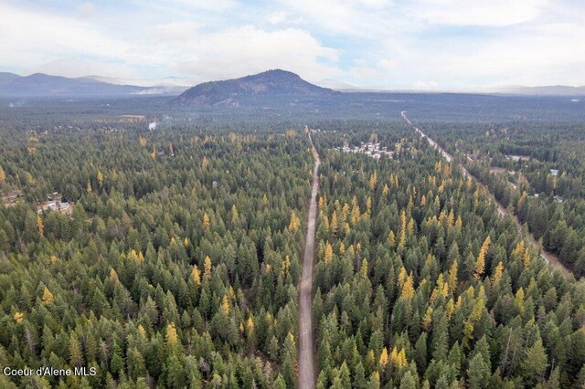 LOT4BLK1 N Peak Rd, Spirit Lake, ID 83869