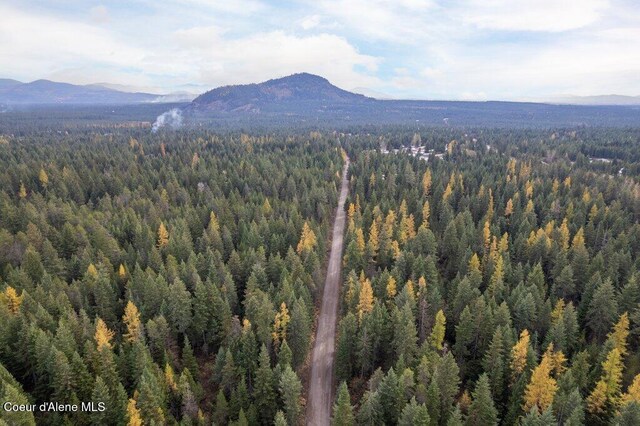 LOT4BLK1 N Peak Rd, Spirit Lake, ID 83869