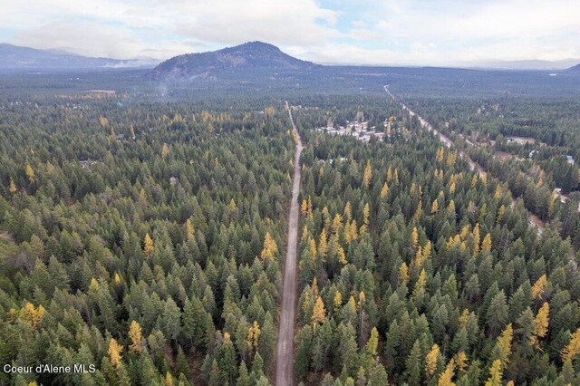 LOT4BLK1 N Peak Rd, Spirit Lake, ID 83869
