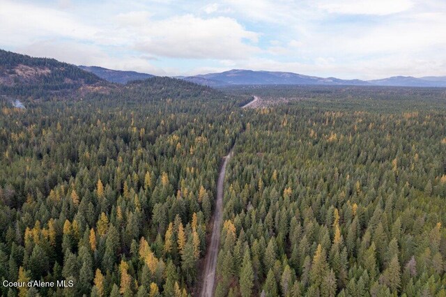 LOT4BLK1 N Peak Rd, Spirit Lake, ID 83869