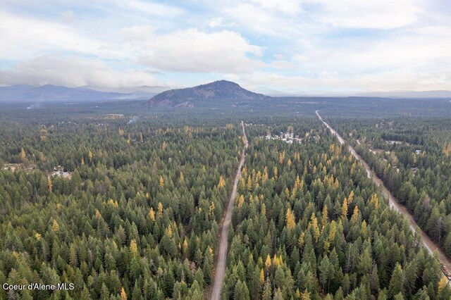 LOT4BLK1 N Peak Rd, Spirit Lake, ID 83869
