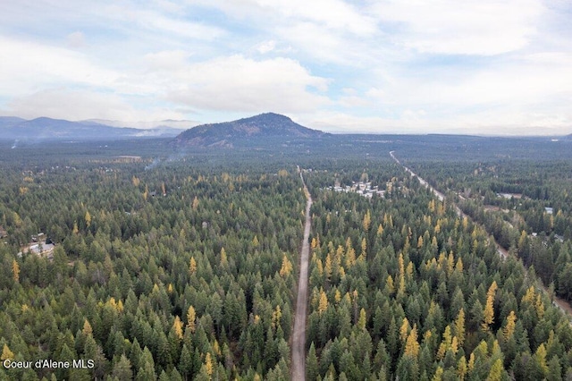 LOT4BLK1 N Peak Rd, Spirit Lake, ID 83869