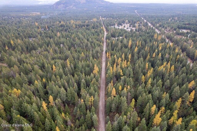 LOT4BLK1 N Peak Rd, Spirit Lake, ID 83869