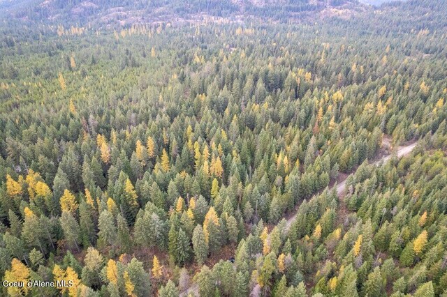 LOT4BLK1 N Peak Rd, Spirit Lake, ID 83869