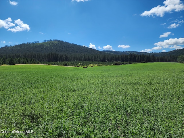 NKA Desmet Rd, Desmet, ID 83824
