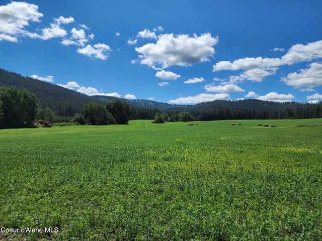 NKA Desmet Rd, Desmet, ID 83824