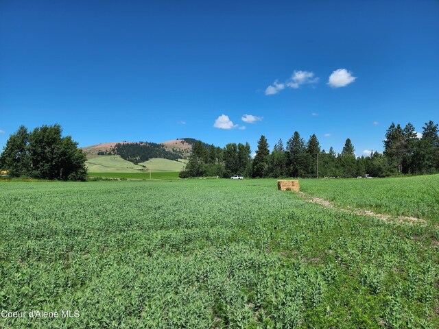 NKA Desmet Rd, Desmet, ID 83824