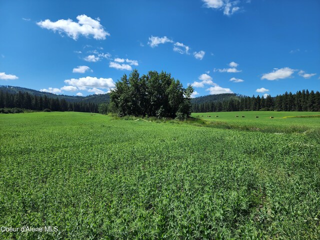 NKA Desmet Rd, Desmet, ID 83824