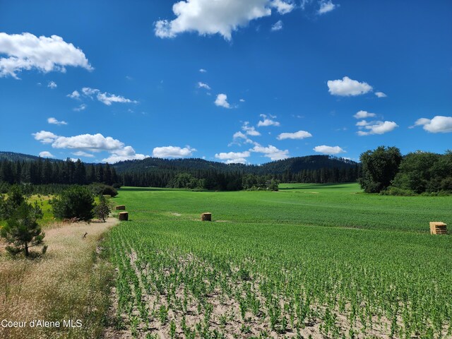 NKA Desmet Rd, Desmet, ID 83824