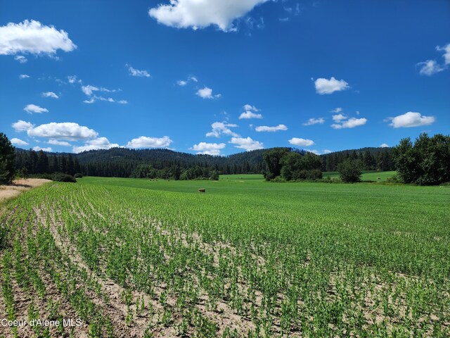NKA Desmet Rd, Desmet, ID 83824