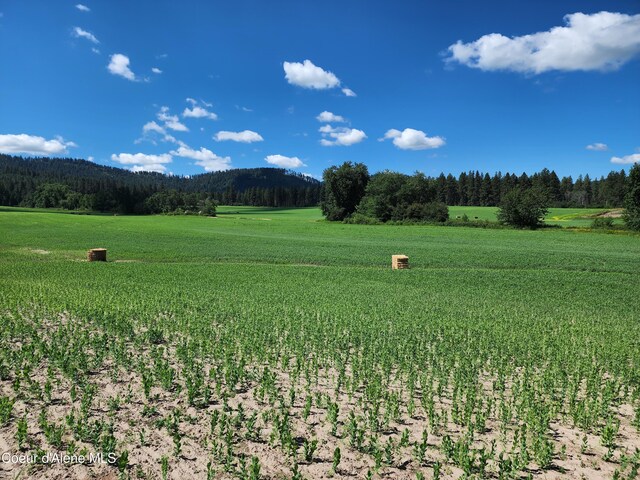 NKA Desmet Rd, Desmet, ID 83824