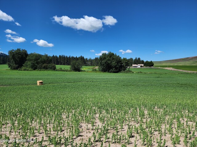 NKA Desmet Rd, Desmet, ID 83824