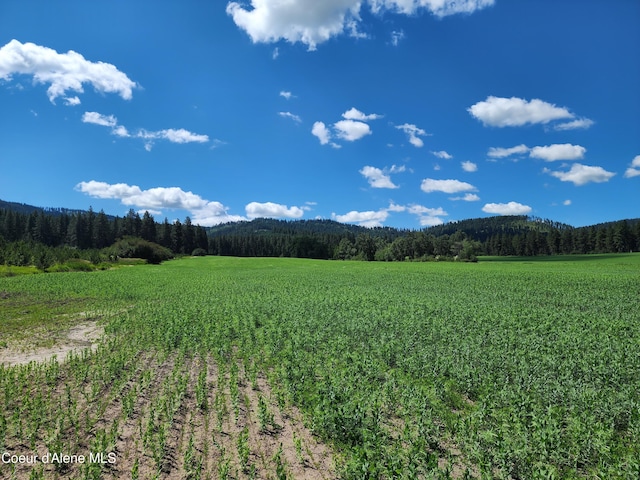 NKA Desmet Rd, Desmet, ID 83824