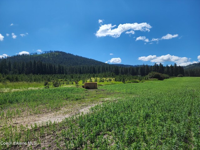 NKA Desmet Rd, Desmet, ID 83824
