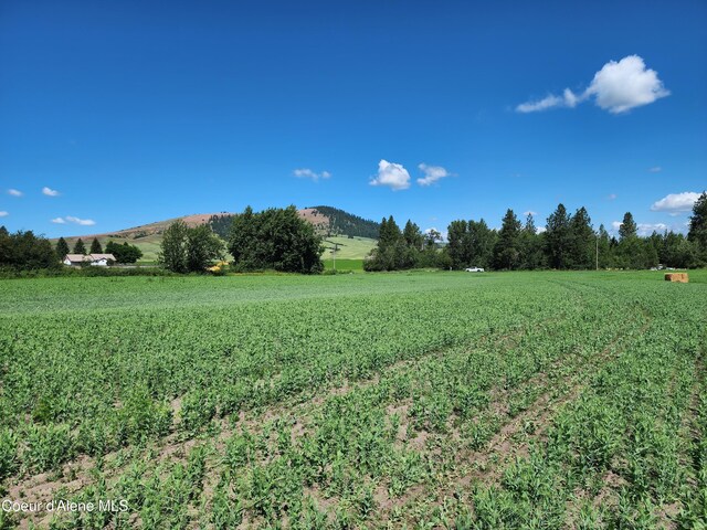 NKA Desmet Rd, Desmet, ID 83824