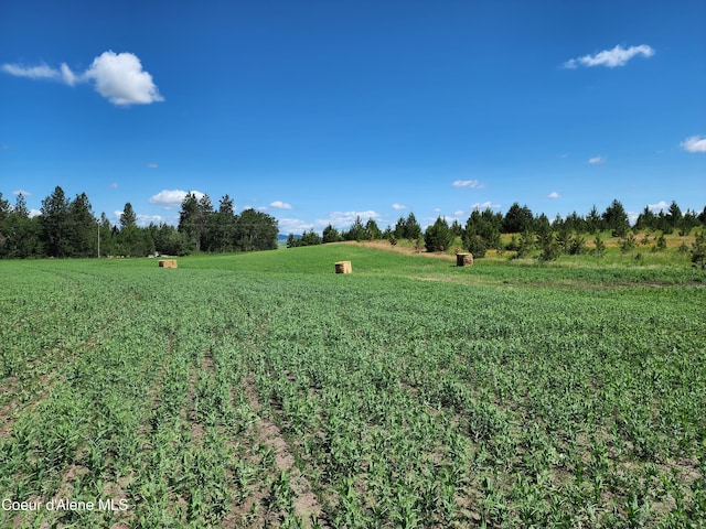 NKA Desmet Rd, Desmet, ID 83824