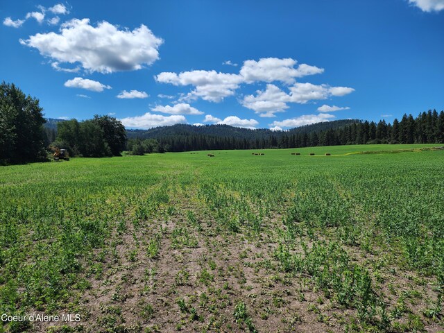 NKA Desmet Rd, Desmet, ID 83824