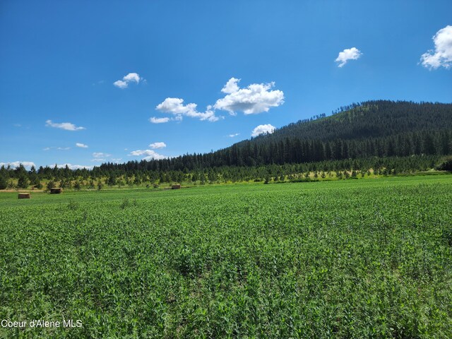 NKA Desmet Rd, Desmet, ID 83824