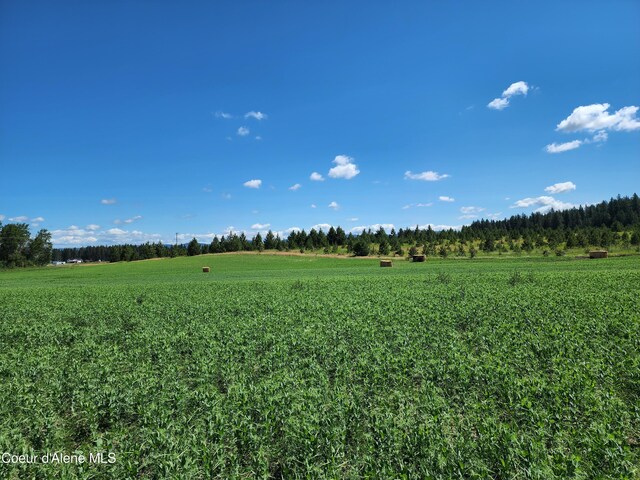 NKA Desmet Rd, Desmet, ID 83824