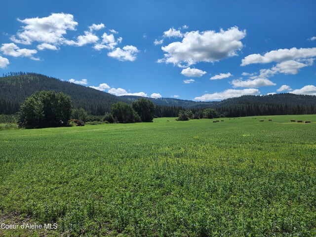 NKA Desmet Rd, Desmet, ID 83824