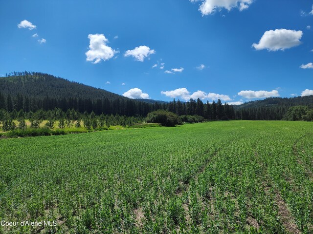 NKA Desmet Rd, Desmet, ID 83824