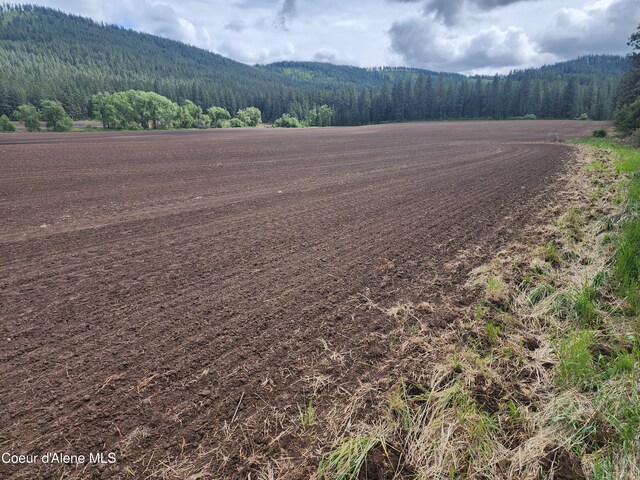 NKA Desmet Rd, Desmet, ID 83824
