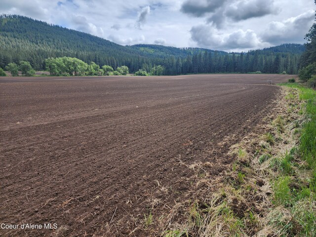 NKA Desmet Rd, Desmet, ID 83824