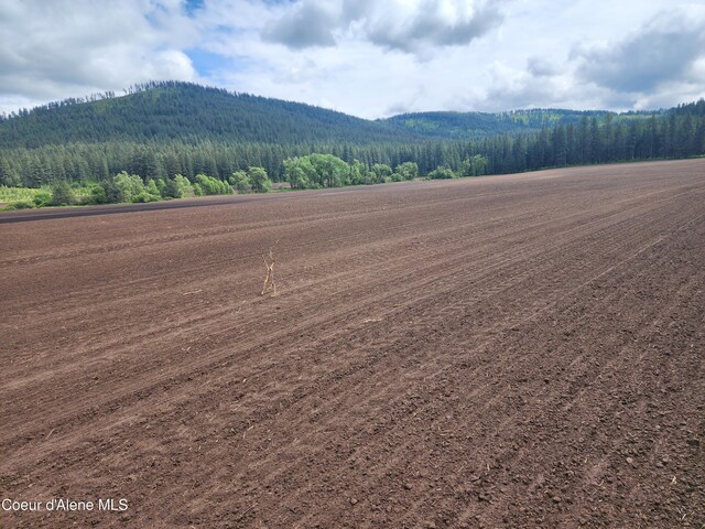 NKA Desmet Rd, Desmet, ID 83824