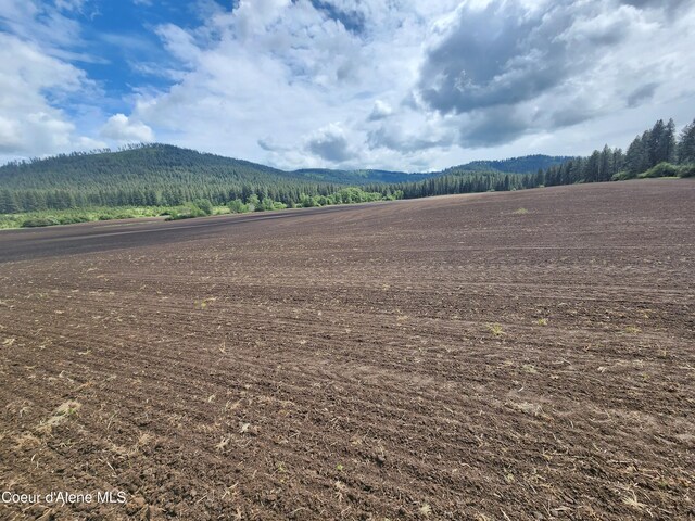 NKA Desmet Rd, Desmet, ID 83824