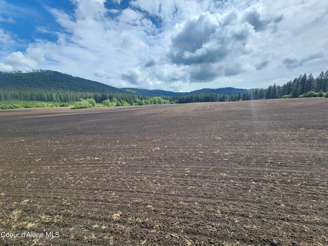 NKA Desmet Rd, Desmet, ID 83824