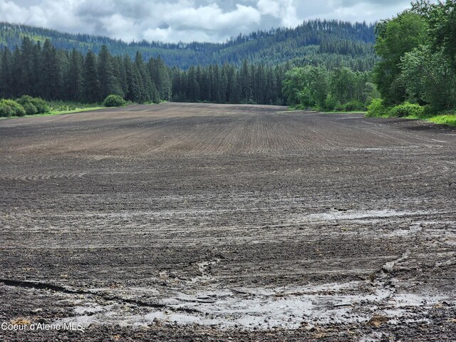 NKA Desmet Rd, Desmet, ID 83824