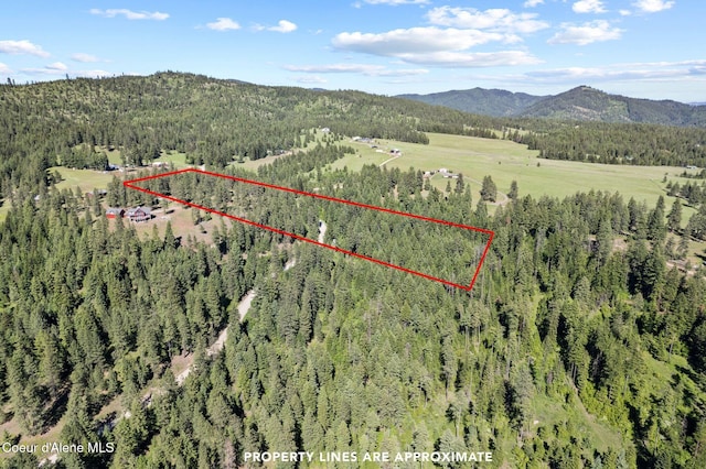 2252 E Badger Rd, Harrison, ID 83833