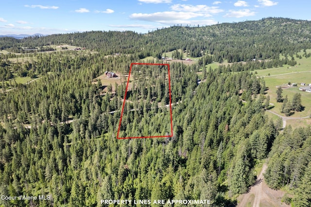 2252 E Badger Rd, Harrison, ID 83833
