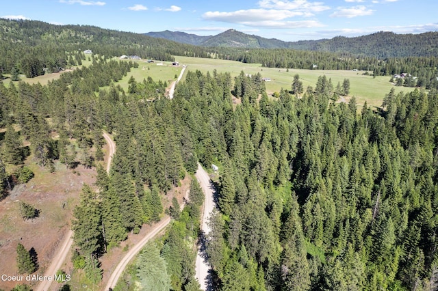 2252 E Badger Rd, Harrison, ID 83833