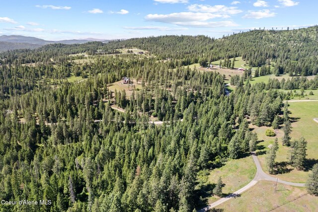 2252 E Badger Rd, Harrison, ID 83833