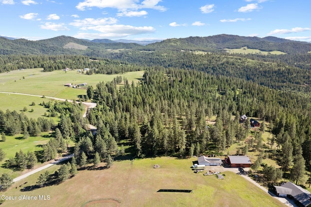 2252 E Badger Rd, Harrison, ID 83833