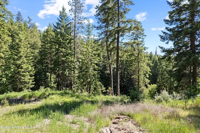 2252 E Badger Rd, Harrison, ID 83833