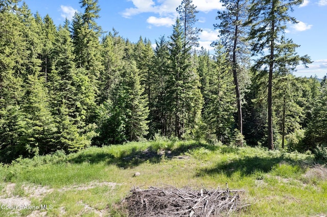 2252 E Badger Rd, Harrison, ID 83833