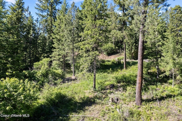 2252 E Badger Rd, Harrison, ID 83833