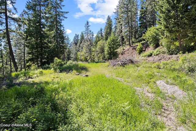 2252 E Badger Rd, Harrison, ID 83833