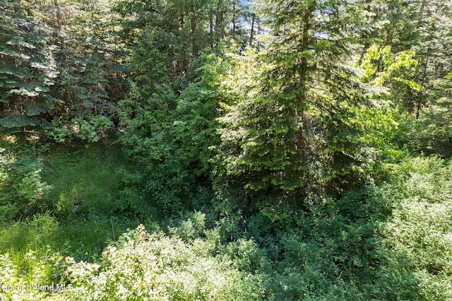 2252 E Badger Rd, Harrison, ID 83833