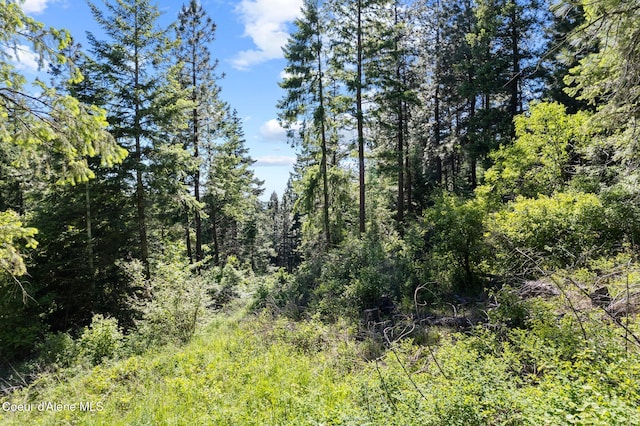 2252 E Badger Rd, Harrison, ID 83833