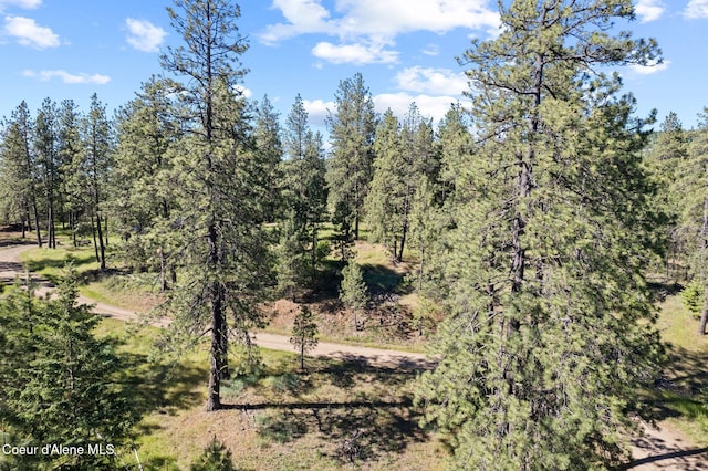 2252 E Badger Rd, Harrison, ID 83833