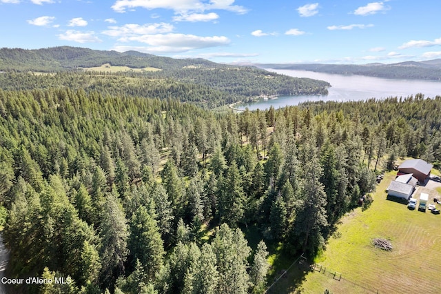 2252 E Badger Rd, Harrison, ID 83833