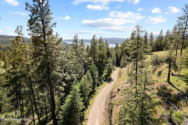 2252 E Badger Rd, Harrison, ID 83833
