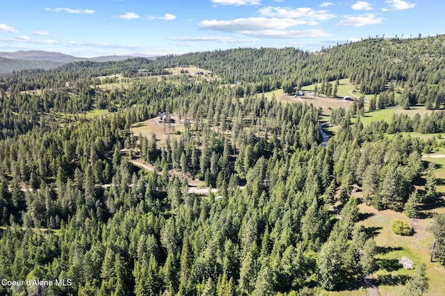 2252 E Badger Rd, Harrison, ID 83833